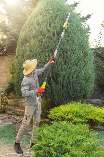 Best Commercial Tree Services  in Palisades Park, NJ